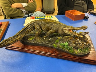 IMG_0666.jpg IMG_0666.jpg