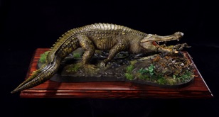 sarco07.jpg sarco07.jpg