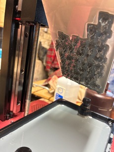 IMG_0732.jpg IMG_0732.jpg